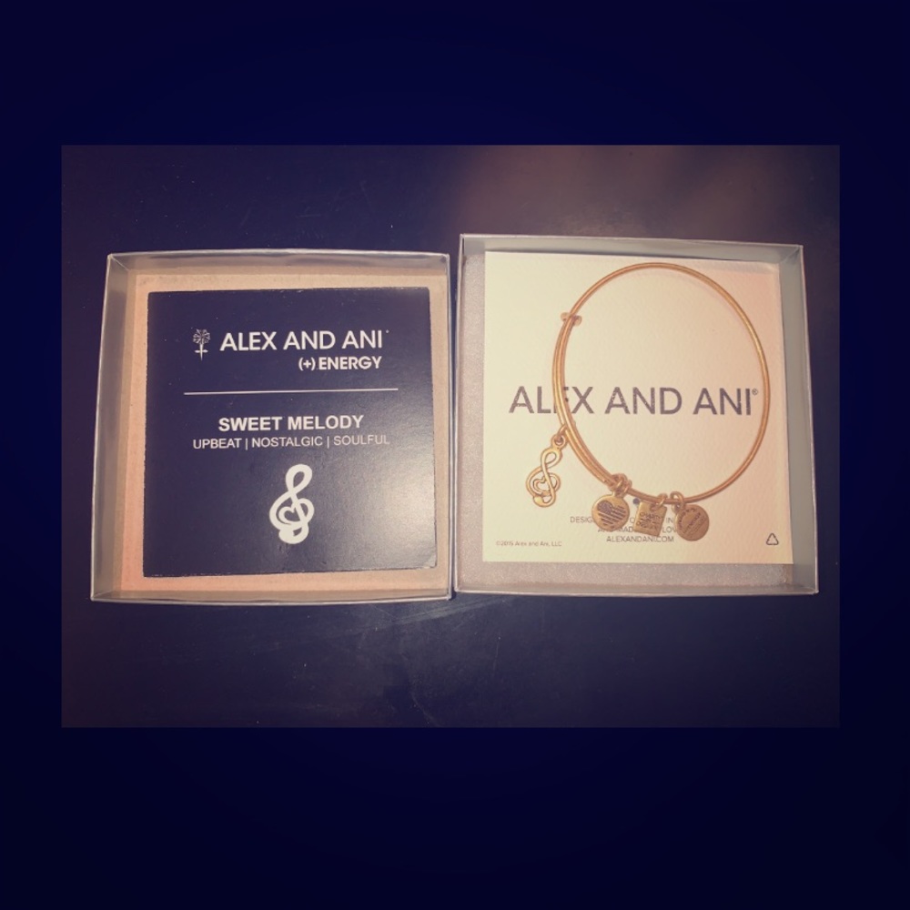 BRAND NEW *** ALEX & ANI bracelet